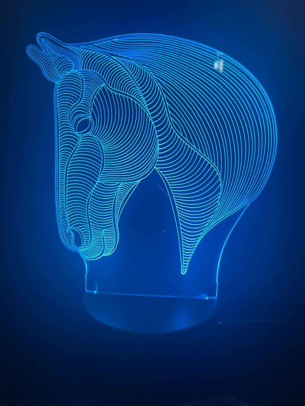 3D LED Acrylic Horse